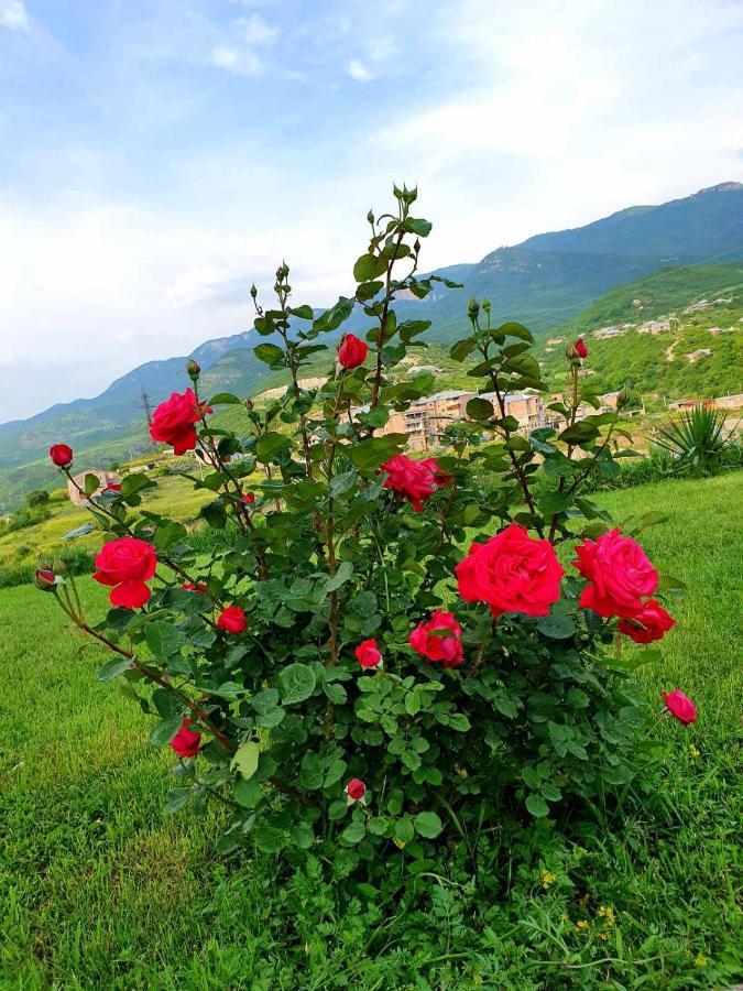 Guest House Ijevan'S Garden المظهر الخارجي الصورة