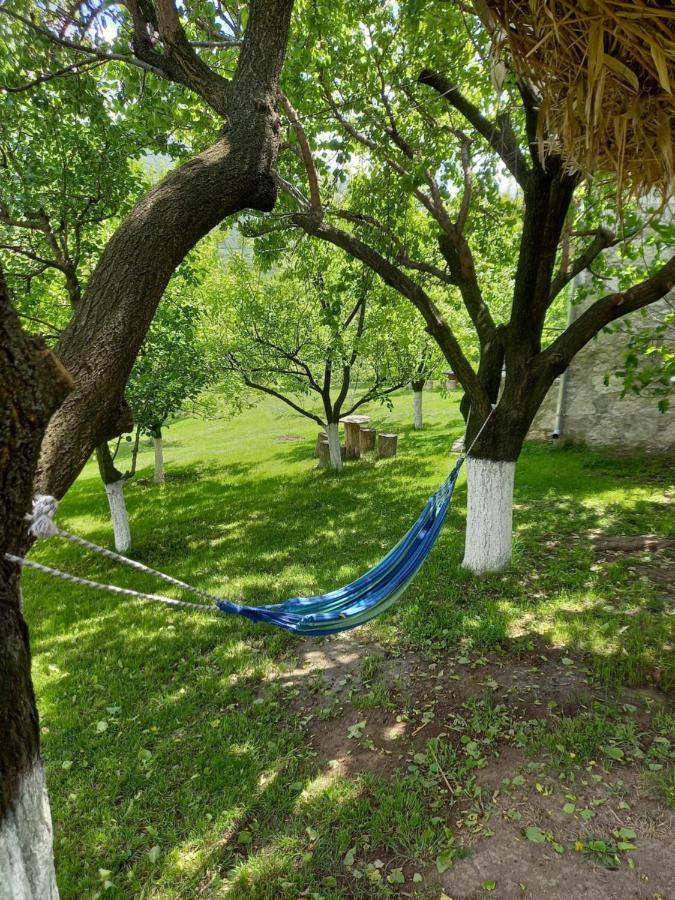 Guest House Ijevan'S Garden المظهر الخارجي الصورة