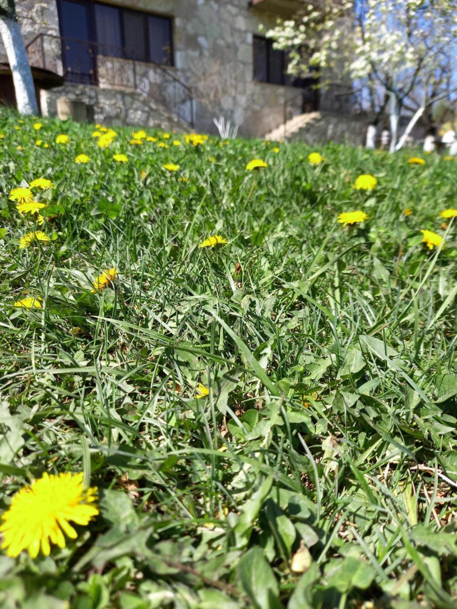 Guest House Ijevan'S Garden المظهر الخارجي الصورة
