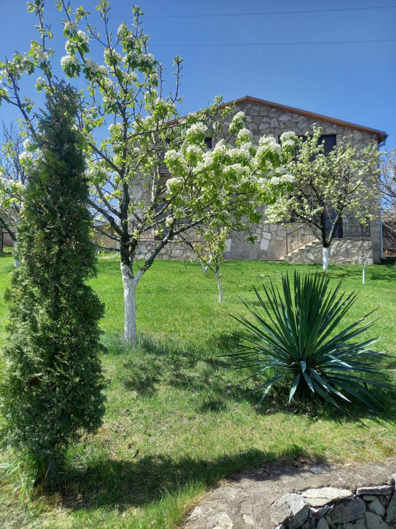 Guest House Ijevan'S Garden المظهر الخارجي الصورة
