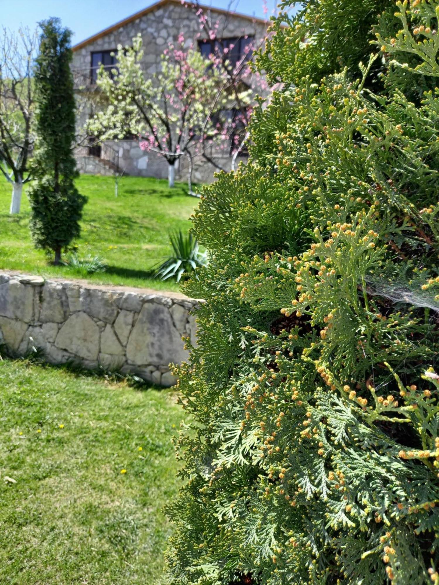 Guest House Ijevan'S Garden المظهر الخارجي الصورة