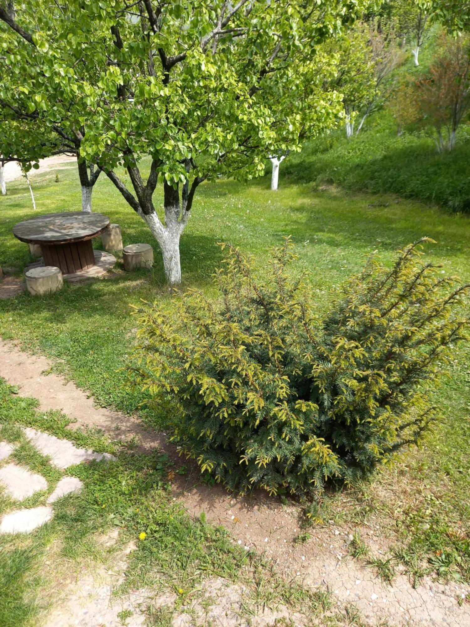 Guest House Ijevan'S Garden المظهر الخارجي الصورة
