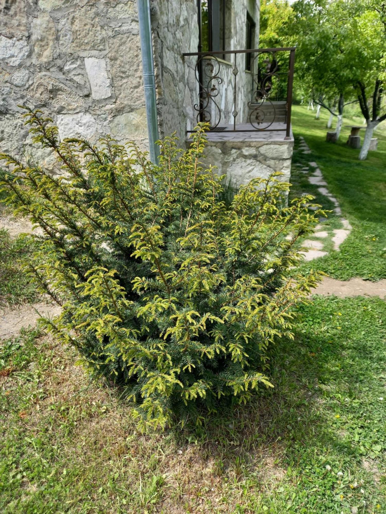 Guest House Ijevan'S Garden المظهر الخارجي الصورة