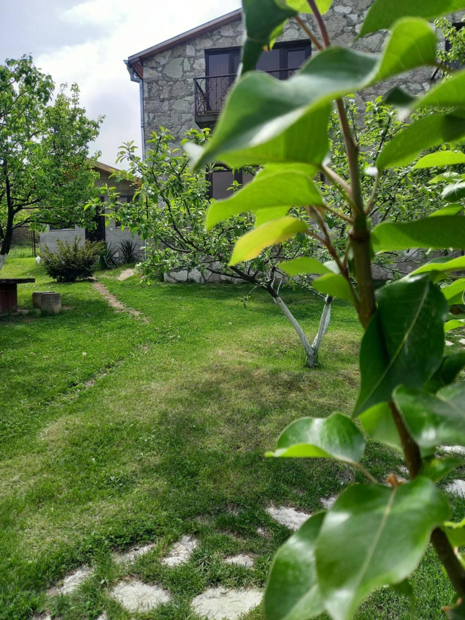 Guest House Ijevan'S Garden المظهر الخارجي الصورة