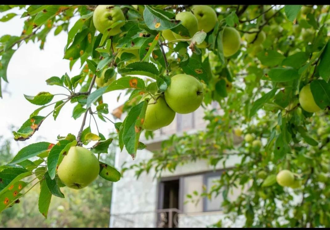 Guest House Ijevan'S Garden المظهر الخارجي الصورة