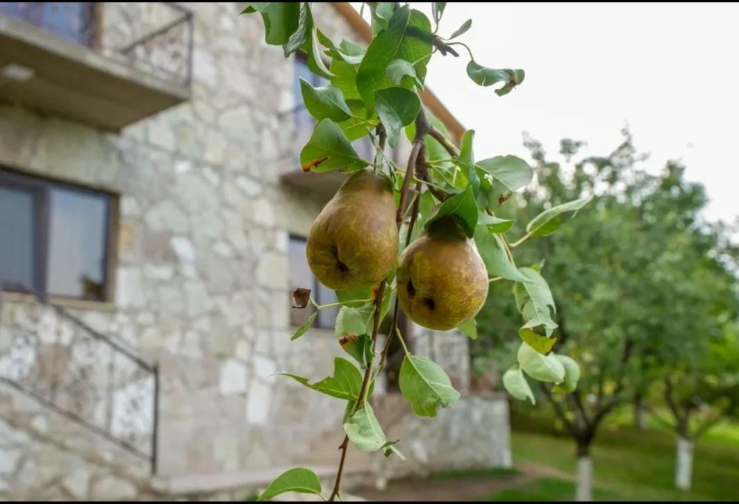 Guest House Ijevan'S Garden المظهر الخارجي الصورة