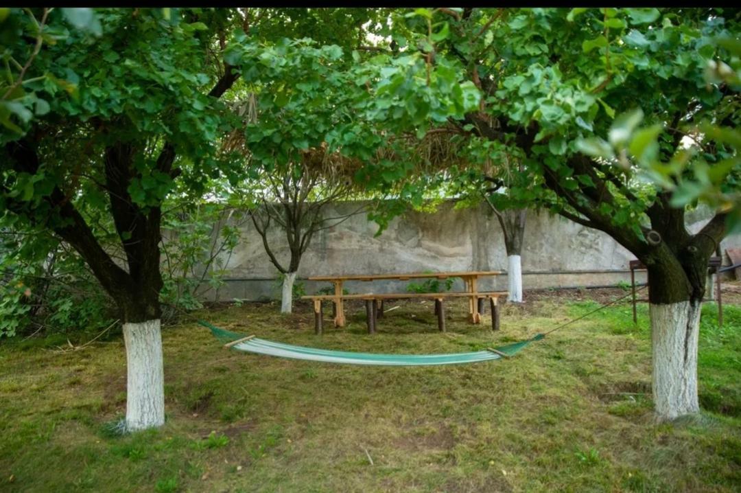 Guest House Ijevan'S Garden المظهر الخارجي الصورة